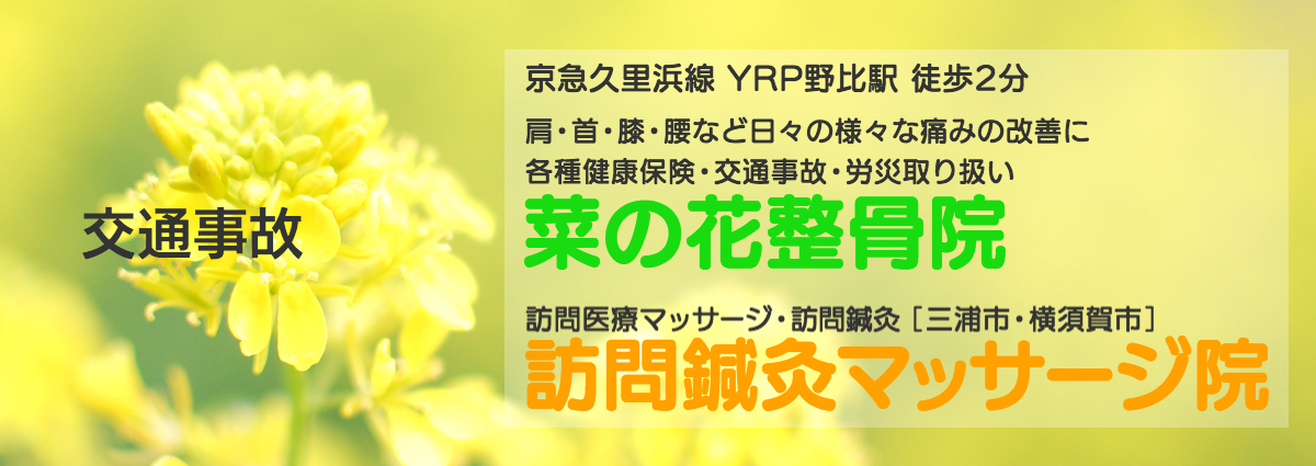 菜の花整骨院 交通事故