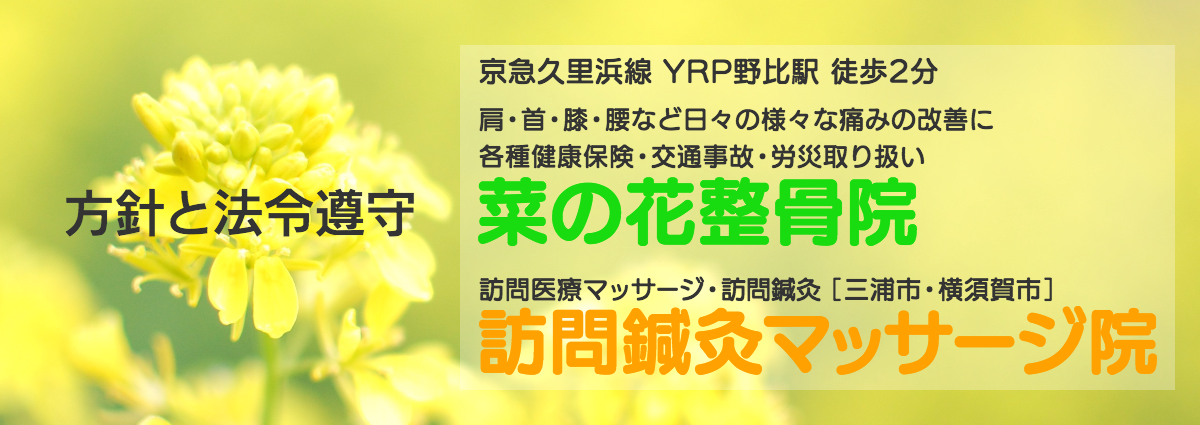 菜の花整骨院 法令遵守