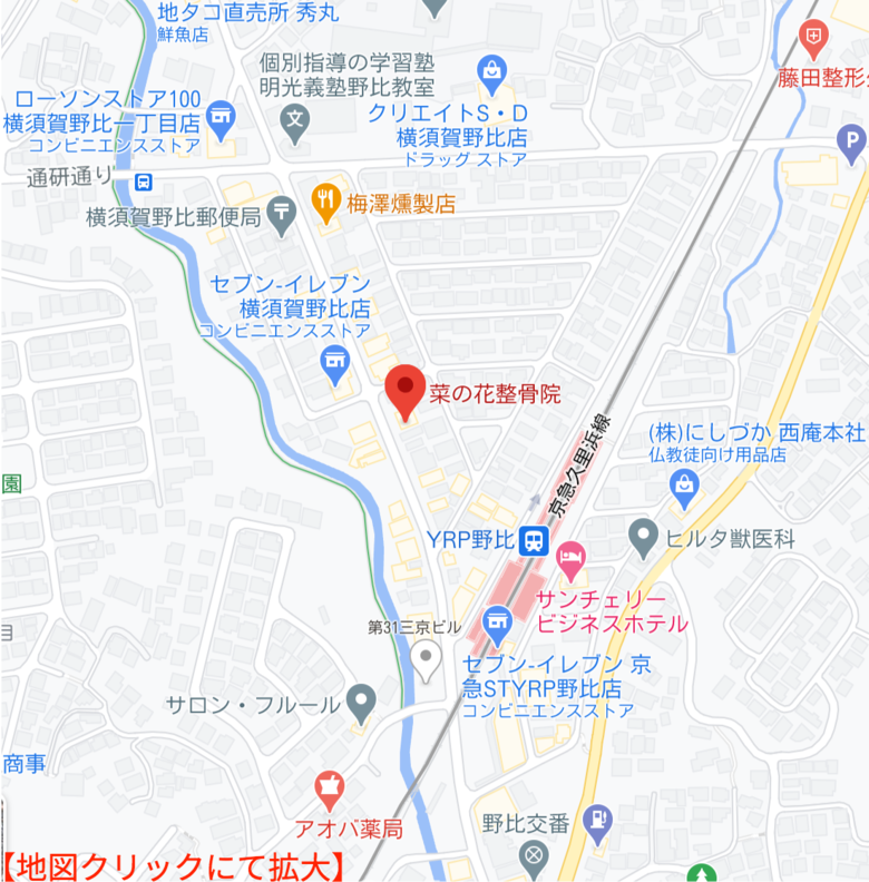 菜の花整骨院　地図