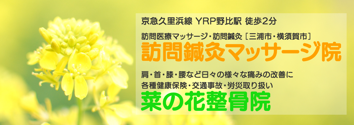 菜の花整骨院 訪問鍼灸マッサージ院